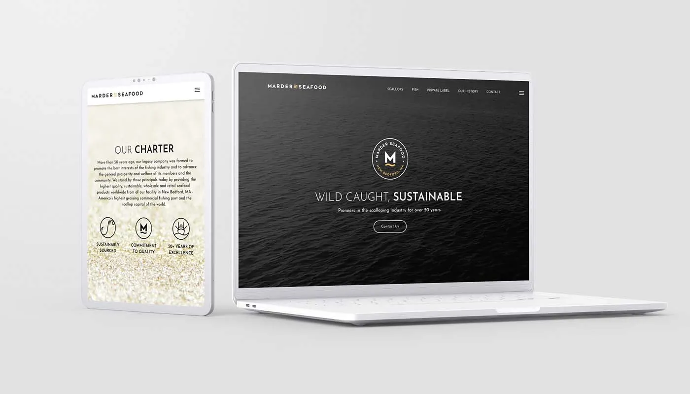 Responsive Parallax Website
