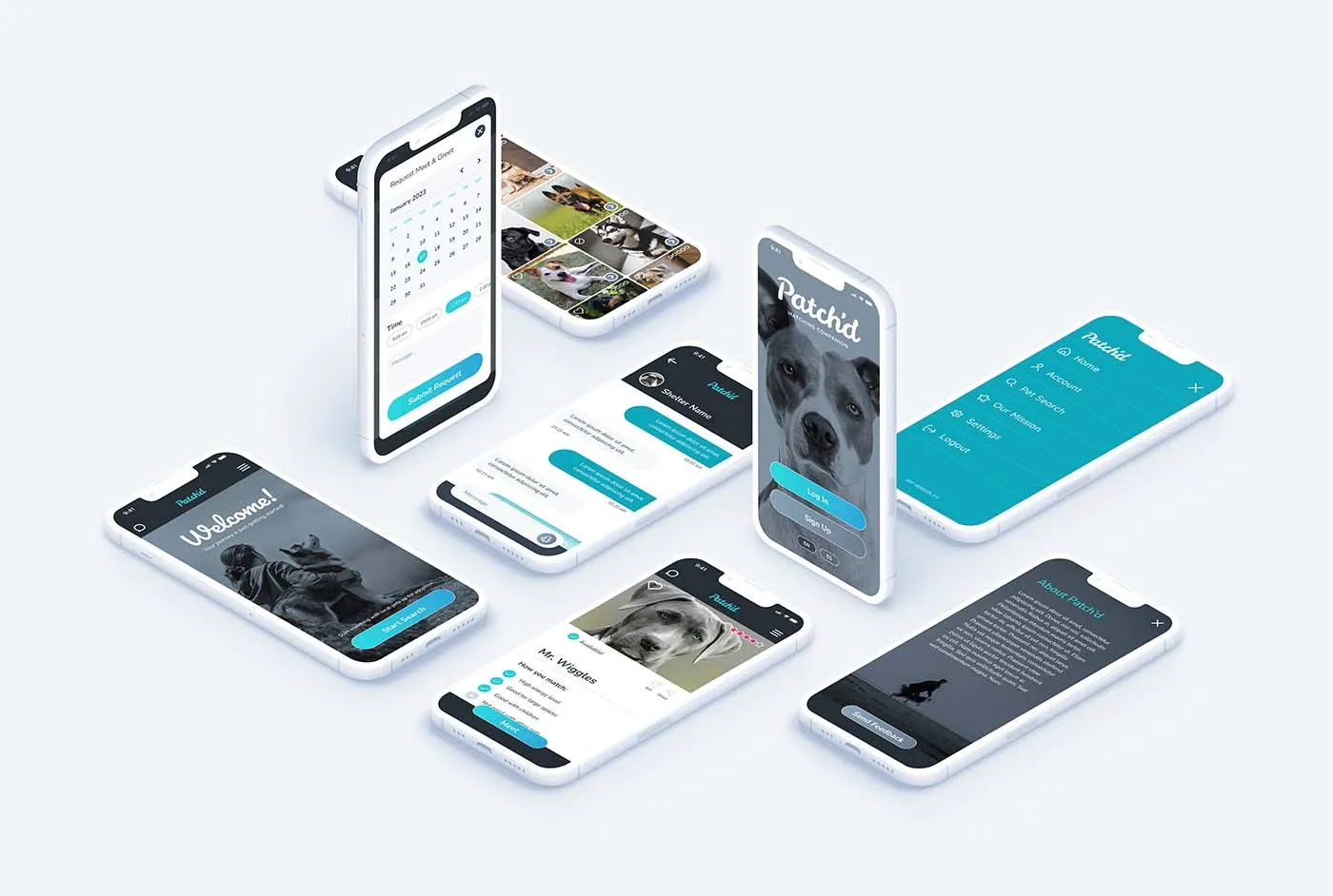 UX Design HiFi App Screen Mockups