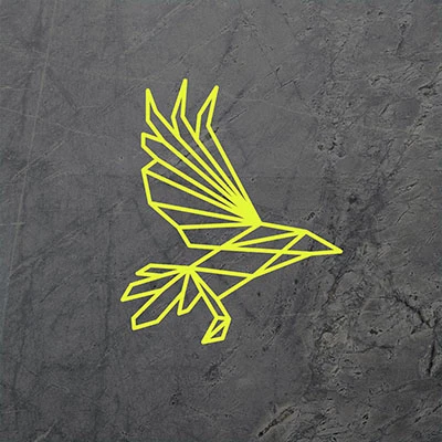Geometric Raven Logo